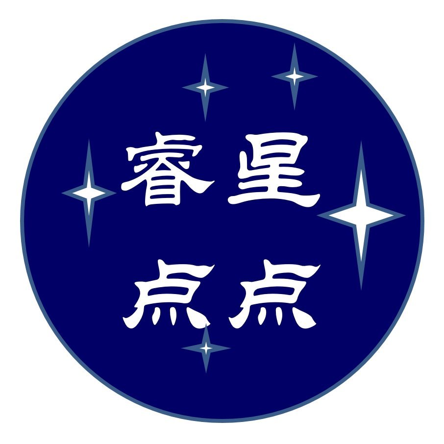 沈阳睿星点点特殊教育咨询有限公司logo图片