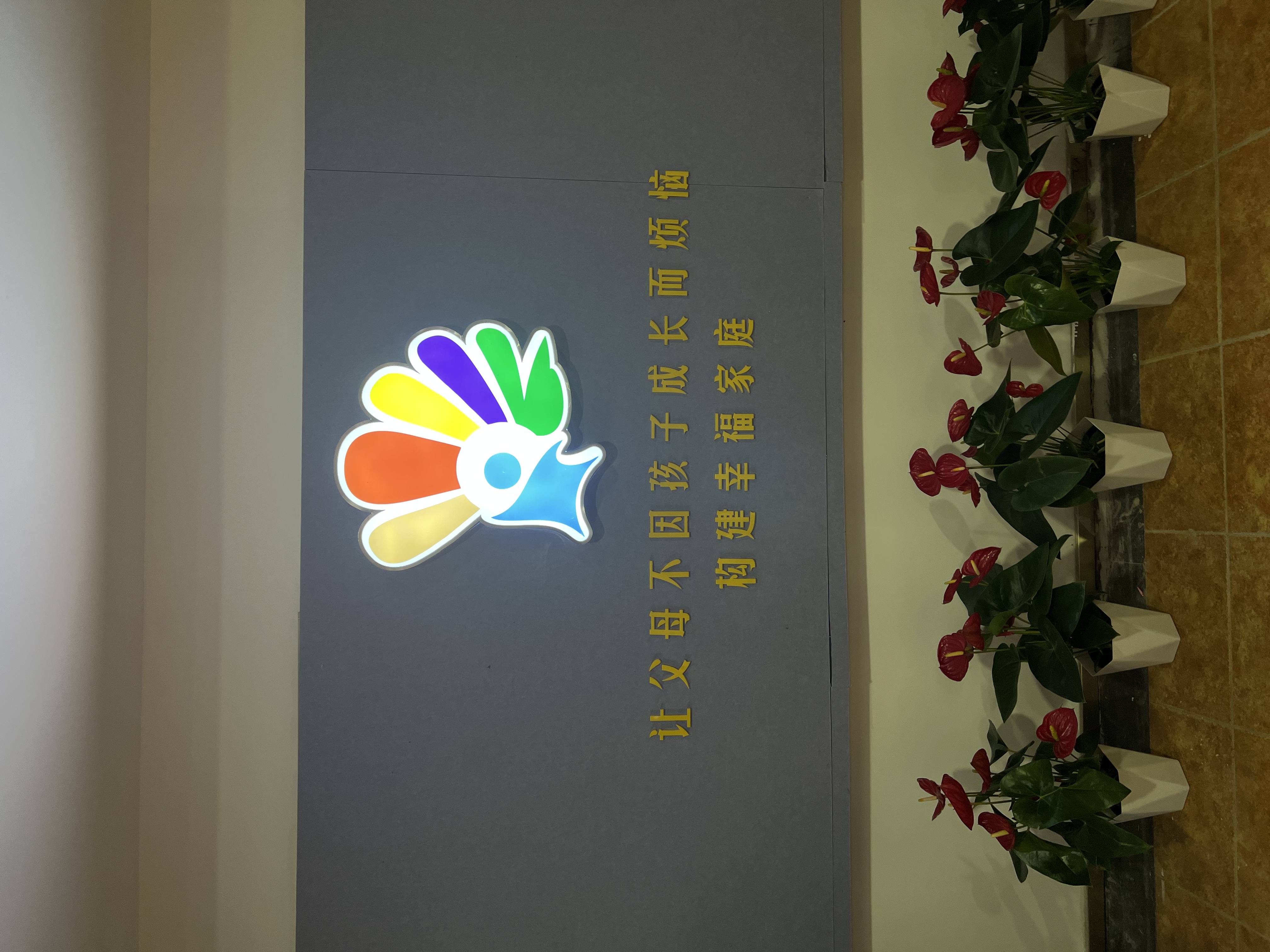 义乌小贝壳logo图片