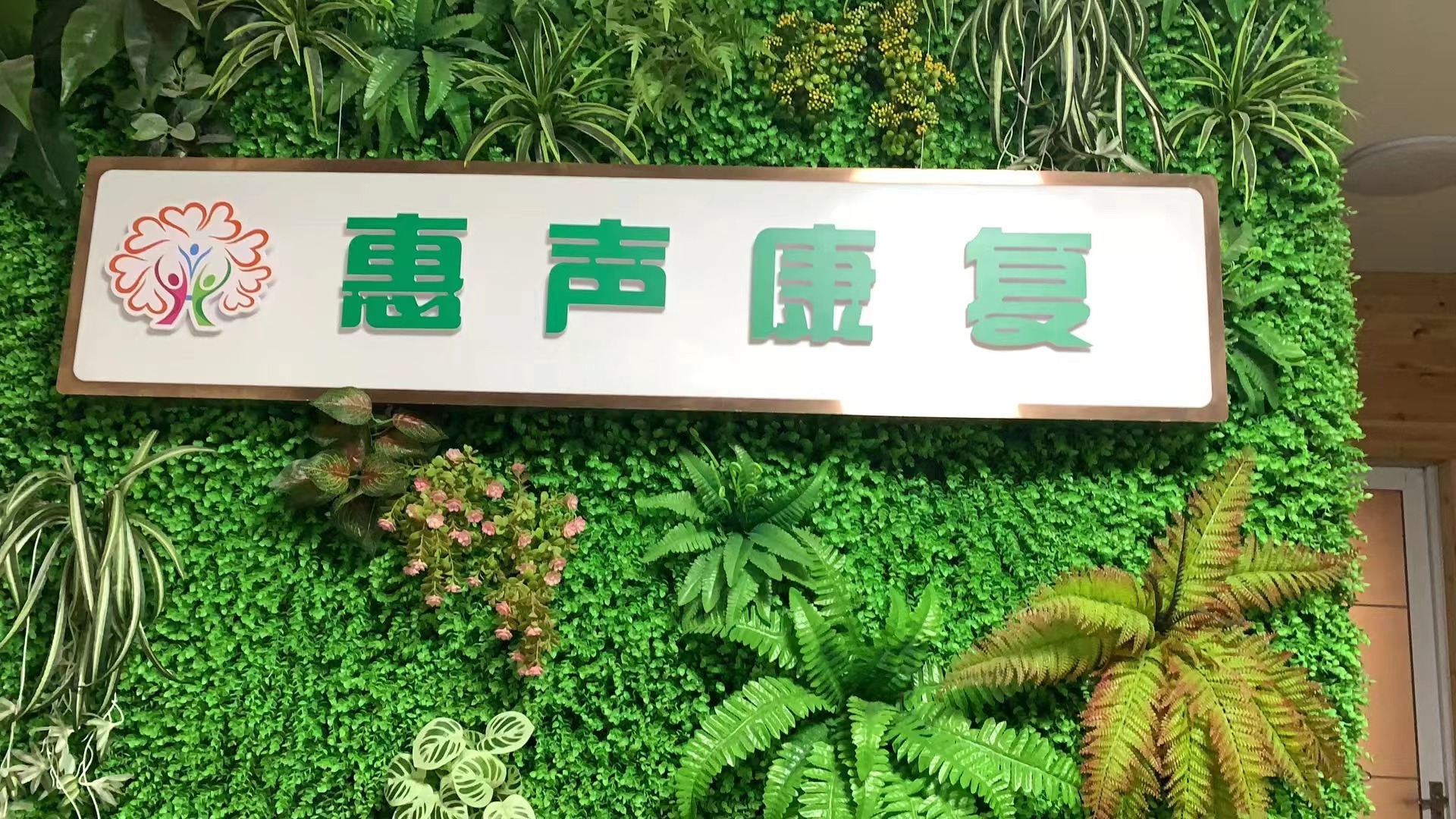 惠声康复logo图片